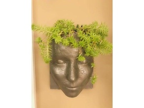 tête planteur 2 versions fleur pot fleurs vase cintre plante mur monter 3d print model - Mito3D