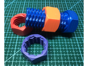 hex cap screw & nuts bolt fidget toy nut bolts 3d print model - Mito3D