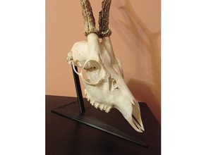 deer skull stand 3d print model - Mito3D
