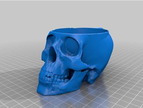 scull cup holder 3d print model - Mito3D