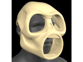 nudo corredizo sid wilson Iowa máscara 3d print model - Mito3D