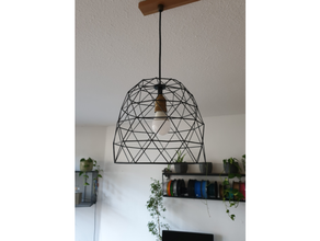 industrial style fruit basket lamps design dyi lamp lightbulb 3d print model - Mito3D