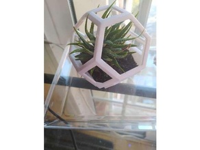open plantygon houseplants plant pot small plants 3d print model - Mito3D