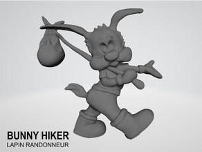 bunny hiker lapin randonneur caracter personnage rabbit 3d print model - Mito3D