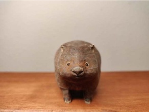commun wombat Vombatus ursinus Australie marsupial 3d print model - Mito3D