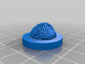 cerveau pinypon épingle pon 3d print model - Mito3D