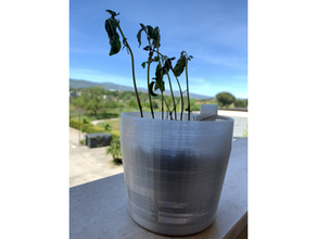 vaso fiore spirale 3d print model - Mito3D