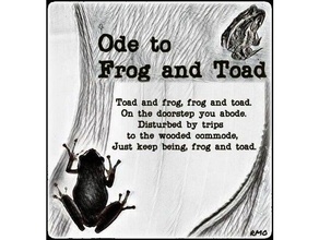 ode frog toad frame outdoor outdoors poem rural wood woodworking 3d print model - Mito3D