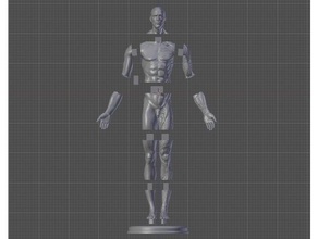 masculino anatomia referência 1 3 escala remixar descrição anatomicamente corrigir modelo saúde corpo personagem figura 3d print model - Mito3D