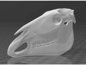 craneo caballo - horse skull animal ajedrez skeleton 3d print model - Mito3D