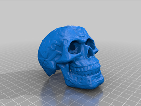 crânio reboque 3d print model - Mito3D