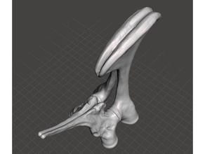 trex hip sin agujero 3d printer dinosaur esqueleto 3d print model - Mito3D