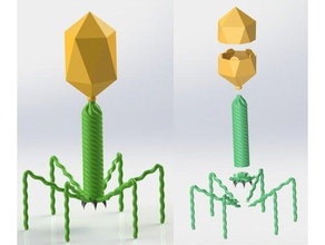 virus bacteriophage - enterobacteria phage t4 adn bacteria bacteriofago cas9 crispr dna genetic genetics 3d print model - Mito3D