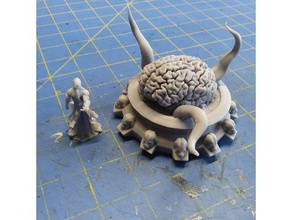 ältere Gehirn 3d print model - Mito3D