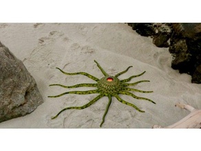 estrella mar criatura decoración Oceano criaturas ornamento escultura 3d print model - Mito3D
