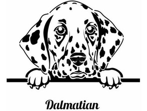 dalmation stencil art dalmatian dog pup 3d print model - Mito3D