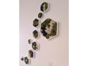 hex wall box moss mount plant 3d print model - Mito3D