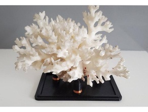 mineral exibição ficar pé decoração 3d print model - Mito3D