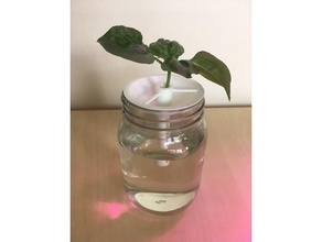 mason jar lid grow basil cuttings outdoor & garden 3d print model - Mito3D