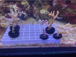 corail frag plante titulaire soutien gadgets aquarium Marin 3d print model - Mito3D