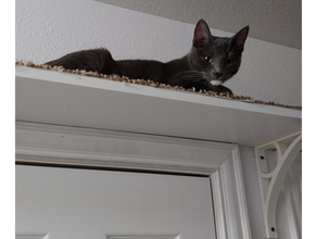 cat wall-walkway bracket pets cats pet shelf mount support shelves walkway 3d print model - Mito3D