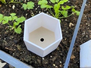 hexagonal pot outdoor & garden customizable gardening indoor plant 3d print model - Mito3D