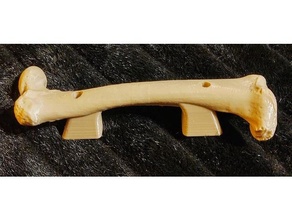 bone grip handle household supplies cabinet grab pirate theme 3d print model - Mito3D