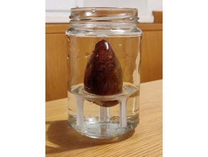 avocado sprouter narrow jar edition 3d print model - Mito3D