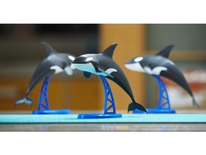 Orca Kreaturen Mörder Wal 3d print model - Mito3D