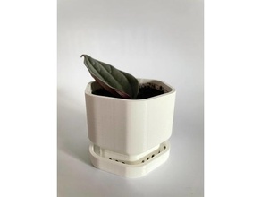 plant pot containers 3d print model - Mito3D