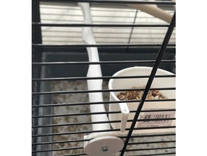oiseau cage perche vis animaux domestiques volière nichoir perruche canari cockatiel perroquet supporter 3d print model - Mito3D