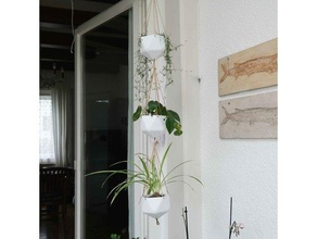hanging planters household planter plant pot plants 3d print model - Mito3D