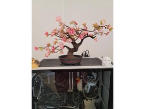 bonsai tree decor 3d print model - Mito3D