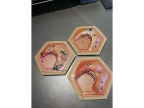 catan variations - clay games boardgame pieces fractal game settlersofcatan settlers 3d print model - Mito3D