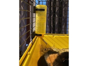 hamster water bottle holder pets bracket guinea pig 3d print model - Mito3D