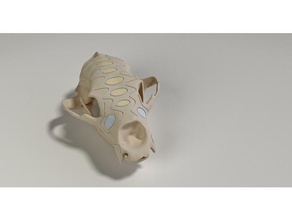 ornato orso cranio sculture animale arte nero grizzly 3d print model - Mito3D