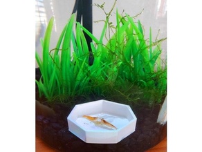crevette alimentation plateau aquarium plat poisson escargot 3d print model - Mito3D