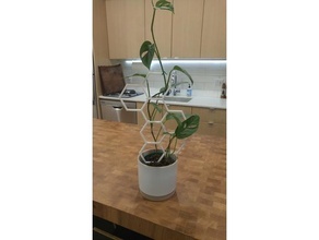 esagono pianta traliccio arredamento piante d'appartamento fioriera 3d print model - Mito3D