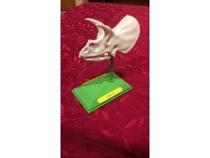 triceratopo cranio modello personalizzato piatto astrale bagliore buio 3d print model - Mito3D