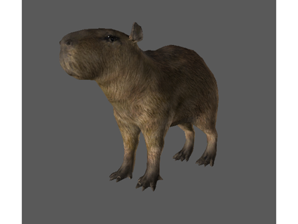 vert enfer Capybara amandes 3d print model - Mito3D