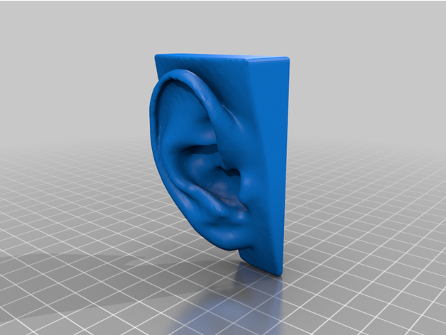 human hear nicpic 3D print model - Mito3D