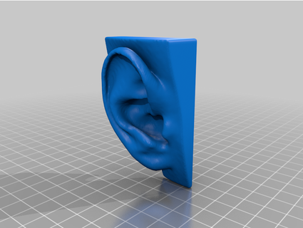 human hear nicpic 3d print model - Mito3D