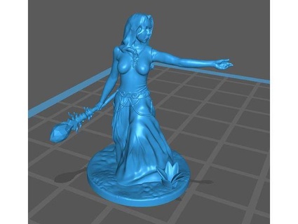 female wizard tinywargames dnd miniature 3d print model - Mito3D
