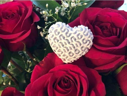 intertwined lattice heart davemakesstuff dual extruder extrusion material flower gift gyroid structure laves graph love network valentine valentines day gifts 3d print model - Mito3D
