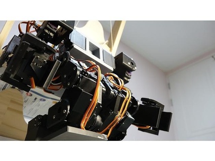 hausgemacht Humanoid 20 Achse chanhuirobot 3d print model - Mito3D