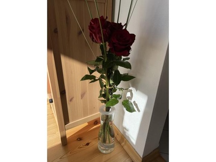 centrage assiette casquette Ikea marée vase 30 cm extrasolaire décoration fleur pot Rose Valentin valentines journée 3d print model - Mito3D