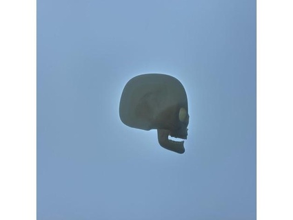 cranio jondai domestico umano 3d print model - Mito3D