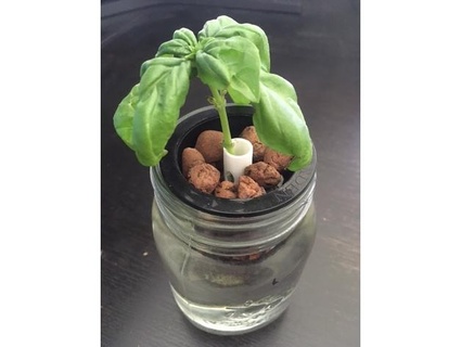 cutting stem holder guard net cup rybaiho Outdoor & Garden garden hydroponics indoor 3d print model - Mito3D