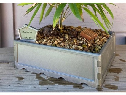 bonsai maceta Piorko aire libre jardín 3d print model - Mito3D