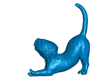 DNA hile Yavru kedi kaplumbağa toakamate dekor genetik 3d print model - Mito3D